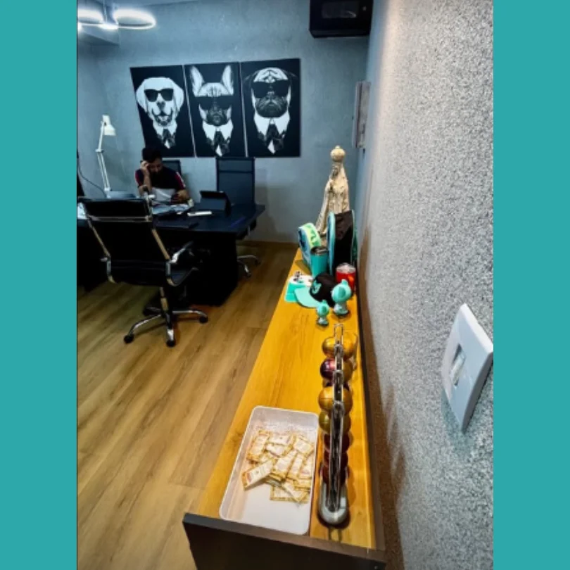 hospital-veterinario-24h-goiania-setor-pedro-ludovico (3)